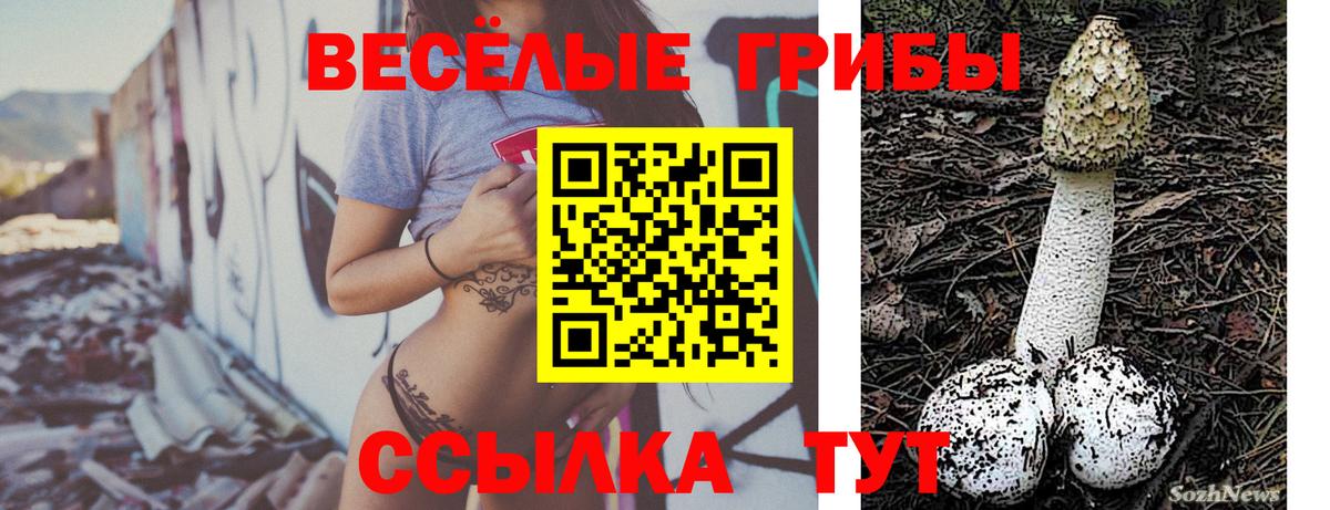 Галлюциногенные грибы MAGIC MUSHROOMS Орёл