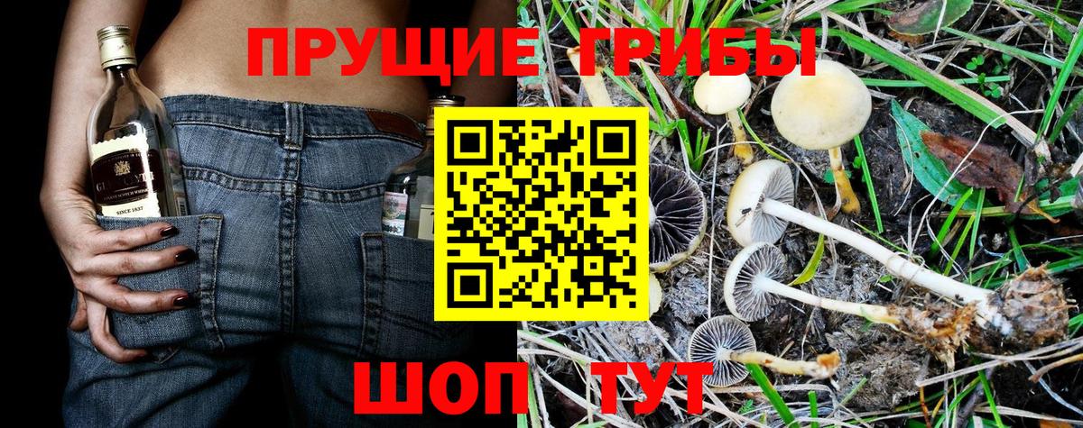 что такое   Псилоцибиновые грибы прущие грибы  Псилоцибиновые грибы Magic Shrooms  Вход с VPN  Орёл 